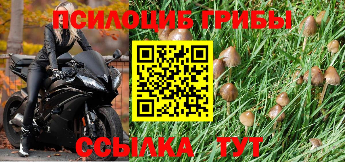 Грязи  Псилоцибиновые грибы MAGIC MUSHROOMS  Вход с VPN 