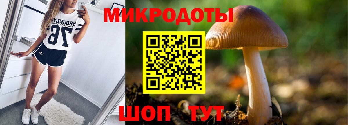 Псилоцибиновые грибы прущие грибы Грязи